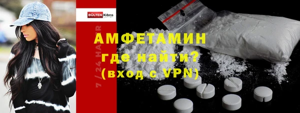 твердый Вяземский