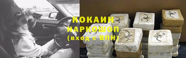 твердый Вяземский