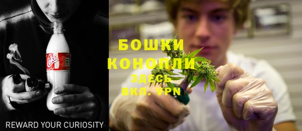 ГАЛЛЮЦИНОГЕННЫЕ ГРИБЫ Гусев