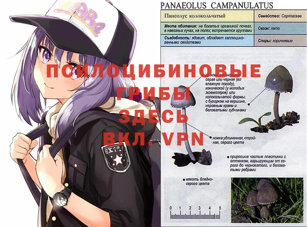 твердый Вяземский