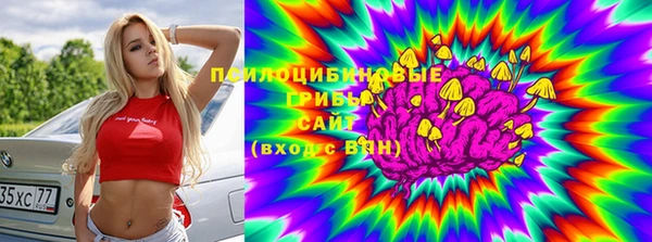 ECSTASY Вязьма