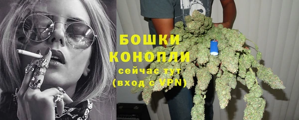 твердый Вяземский