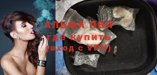 твердый Вяземский