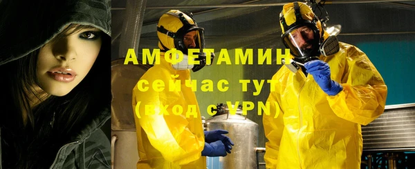 ГАЛЛЮЦИНОГЕННЫЕ ГРИБЫ Гусев