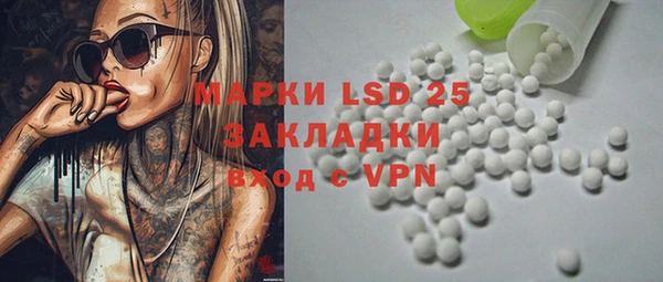 твердый Вяземский