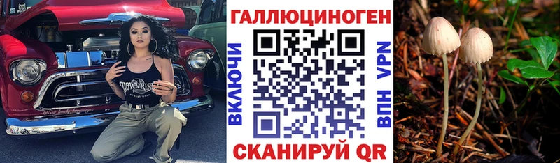 Галлюциногенные грибы мухоморы  Ленинградская 